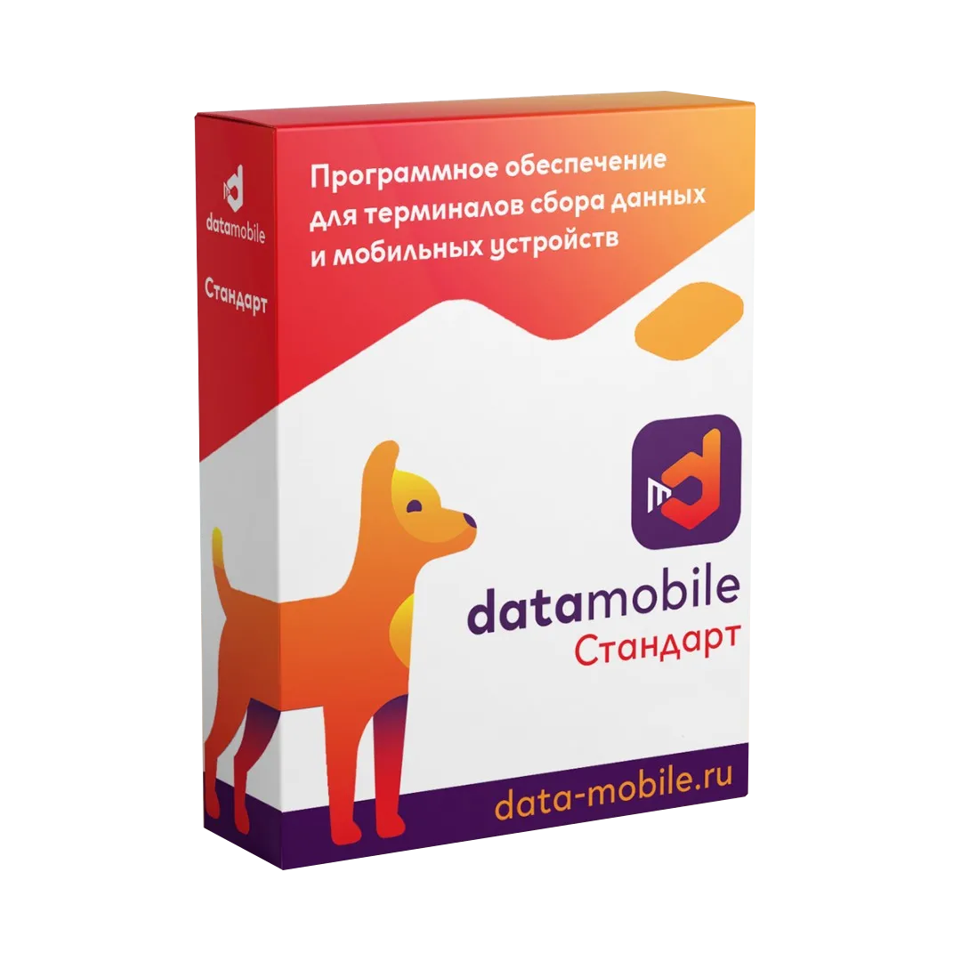 ПО DataMobile, версия Стандарт LifeTime (45873) (S0012613)