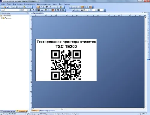 На фото – этикетка, сделанная в программе BarTender