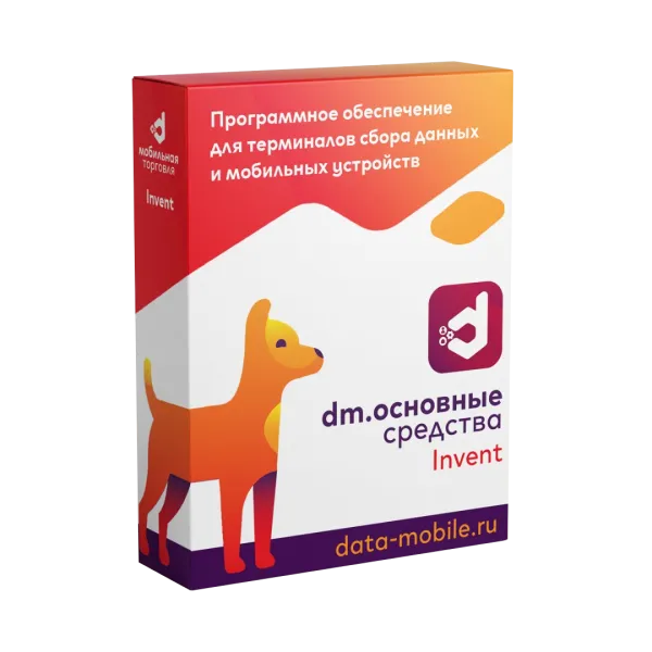 ПО DataMobile, Основные средства: Invent - LifeTime (DMI)